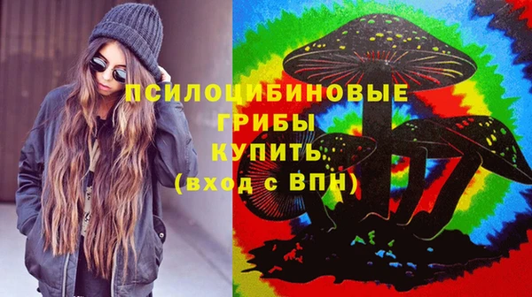 каннабис Аркадак