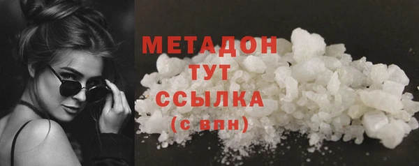 прущие грибы Осинники